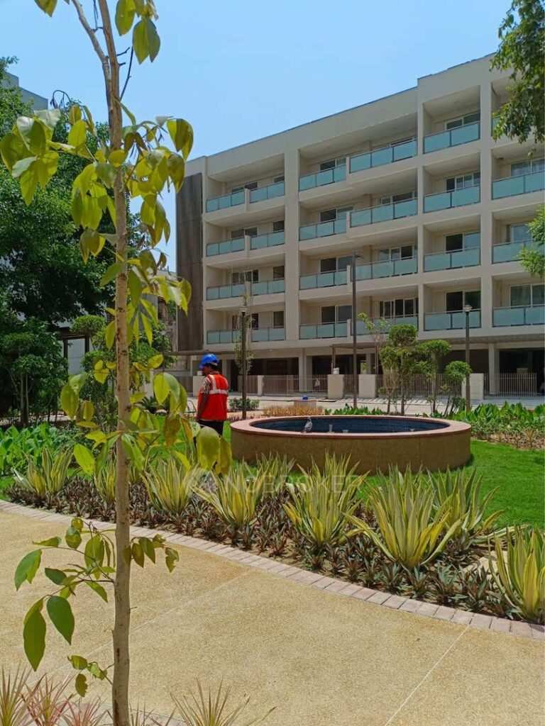 DLF Amaltas Drive