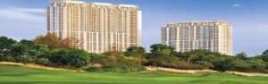 DLF Summit