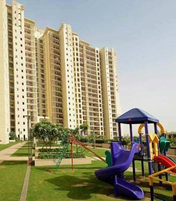 DLF Summit features